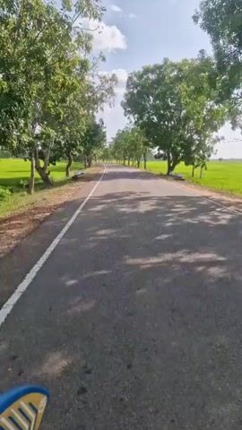 The video shows a straight asphalt road stretching into the distance, flanked by green trees and verdant fields. The road has a white line marking the edge, and shadows from the trees create patterns on its surface. The sky is blue with a few scattered clouds. The perspective suggests the video was taken from a moving vehicle.