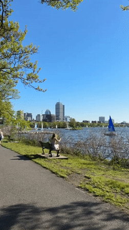 Evening stroll captures Boston harbor, flowers, street scenes