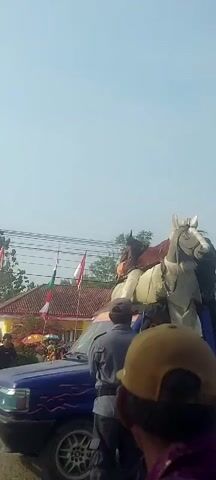 A video shows a parade float with a large horse effigy, possibly made of fabric or papier-mâché. The effigy is adorned with what appears to be a blanket or cloth draped over its back and neck. Two individuals are seated on the float behind the horse. One person is wearing a dark outfit and a helmet, while the other is wearing sunglasses and a light-colored shirt. A large banner with red and white writing is attached to the front of the float. The banner's text appears to be in Indonesian. A person in a dark uniform is visible in the foreground, facing away from the camera. The background shows trees, power lines, and a tall tower, suggesting an outdoor setting, likely in a town or city. The sky is clear and bright, indicating daylight. Red and white Indonesian flags are also visible, mounted on poles. The float is on a blue vehicle, possibly a truck or a utility vehicle, with a logo that includes the letters "HM" and the word "BLOWER".