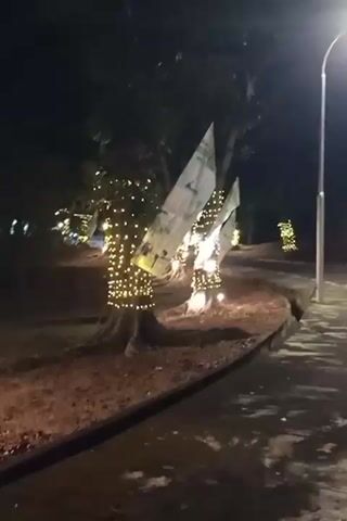 This is a nighttime video of a tree decorated with string lights and flags. The tree is in a park-like setting with fallen leaves on the ground and a paved walkway. In the background, there are more trees and a street light. The camera moves from the tree to the walkway, then pans to the right. The video appears to be taken from a moving vehicle or by someone walking.
