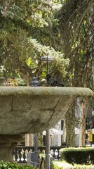 Midday in Olot: streets, parks, and Sant Esteve Church