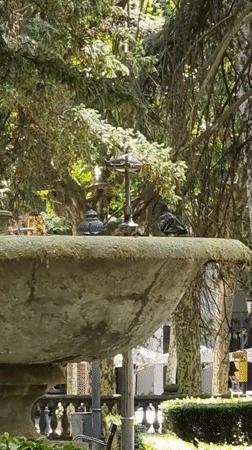 Midday in Olot: streets, parks, and Sant Esteve Church