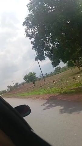 The video shows a view from a car driving along a cracked asphalt road. The sky is overcast with gray and white clouds. On the right side of the road, there is a field with scattered trees and utility poles carrying power lines. The vegetation appears dry and sparse. The car's black side mirror is visible in the lower-left corner of the frame. The camera is positioned inside the car, capturing the scene through the window.
