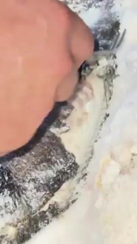 A person is shown removing salt from a cooked fish. The fish appears to have a dark, scaly skin and is lying in a bed of coarse salt crystals. The person is using a flat, silver utensil to gently scrape away the hardened salt crust, revealing the white flesh of the fish underneath. The focus is close-up, highlighting the texture of the salt and the fish.