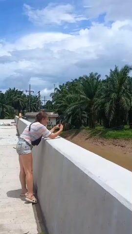 Here's a description of the video:

The video begins with a woman standing on a concrete bridge, leaning over the side, and using her mobile phone to take a picture. She is wearing short denim shorts, a horizontally striped shirt, and sandals. She has a crossbody bag on her shoulder.

The camera then pans to show the view from the bridge. Beneath the bridge flows a river of murky brown water. Lush green trees, primarily palm trees, line both sides of the riverbank. Overhead, electrical wires run across the frame. The sky is partly cloudy, with patches of blue visible.