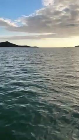 The video shows a body of water under a partly cloudy sky. In the distance, land is visible on the horizon. The camera appears to be on a moving boat, as indicated by the wake visible in the water. The light suggests it could be early morning or late afternoon.