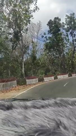 The video captures a scenic view from inside a vehicle, likely a car, looking out onto a winding road surrounded by lush greenery and trees. The road appears to be paved and curves to the right, with a white line marking the center. Along the left side of the road, there is a barrier with red and white markings, suggesting a guardrail or decorative fencing. Above the barrier, there are some utility poles and wires. A billboard with "BLACK" prominently displayed is visible further down the road on the left, with some imagery and text on it. A yellow sign with a black arrow indicating a curve is also present on the right side of the road. The sky is partly cloudy, with visible patches of blue. The foreground of the video is partially obscured by a fluffy, grey material, which is likely part of the vehicle's interior, possibly a faux fur car seat cover or dashboard mat. The overall impression is a drive through a somewhat hilly or mountainous area with a natural landscape.
