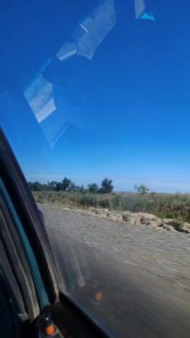 The video shows a view from inside a vehicle, looking out the passenger side window. The road ahead appears to be gravel or dirt. On the right side of the frame, there is a line of trees and vegetation under a clear blue sky. The interior of the car is visible on the left, including part of the dashboard and the car door. The camera is moving, suggesting the vehicle is in motion.