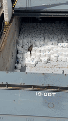 Cargo ship loading operations documented at Colombian port