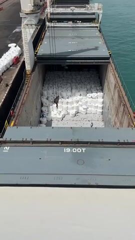 The video shows a cargo ship's hold filled with numerous large white sacks. A person, wearing a hard hat, safety vest, and blue pants, stands on top of one of the sacks, holding a clipboard and a pen, appearing to be taking inventory or inspecting the cargo. A crane hook is suspended above the sacks. The hold is enclosed by metal walls, and the sea is visible in the background. The sacks are tightly packed, filling the entire space of the hold. The person is the only human visible in the hold.