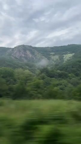 The video shows a view from a moving vehicle, traveling through a lush green mountainous and forested landscape. The foreground trees are heavily blurred due to motion, indicating speed. In the middle and background, densely forested hills and mountains rise, with some areas appearing misty or covered in light fog under an overcast, cloudy sky. Faint, muffled human conversation is audible in the background. The scene depicts a journey through a natural, mountainous environment, consistent with Paidushko, Bulgaria.