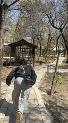 Young men take casual morning walk through Yerevan park