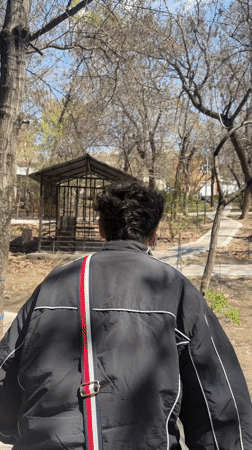 Young men take casual morning walk through Yerevan park
