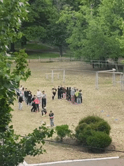 Children play outdoors, flowers bloom indoors in Kryvyi Rih