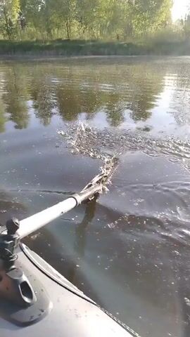 The video shows a low-angle, first-person perspective from a small boat on a river or wide stream. The water is dark and reflects the trees lining the shore. The paddle is being used to propel the boat forward. The paddle is silver with black fixtures. The boat appears to be gray. The trees on the shore are dense and have green leaves, indicating it is likely springtime or early summer. The sunlight gives a slight glare to the upper part of the view. There does not appear to be anyone visible in the video aside from the implied person operating the paddle.
