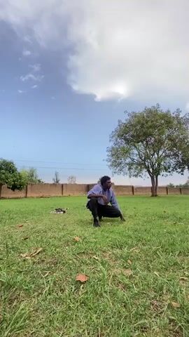 A young Black man is crouching on a green lawn in a yard. He is wearing a light blue shirt, dark pants, and dark shoes. He is looking to his right and appears to be touching the grass. Behind him is a low stone wall, a few small trees, and one large tree. In the background is a blue sky with a few white clouds. To the left of the man are a pair of black-and-white shoes or sandals on the grass. Power lines can be seen above the wall.