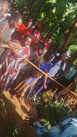 A group of people are standing around what appears to be a ditch. The crowd is diverse in age and clothing, and they are holding onto a rope that extends down into the ditch. It looks like they are pulling something up from the ditch, as several individuals are straining and smiling. Lush green vegetation surrounds the scene. The atmosphere seems celebratory, with visible expressions of joy and relief among the participants.