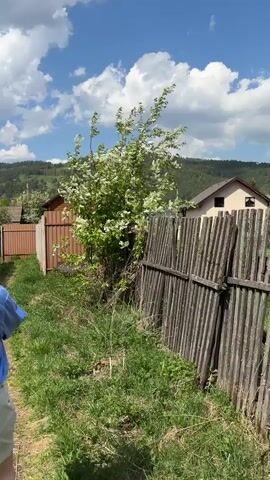 A woman with auburn hair wearing a blue shirt and khaki pants stands in a grassy field with wooden fences. She holds a phone to take a picture of the scenery. Beyond the fences are wooden houses and a mountain range covered in trees under a blue sky with fluffy white clouds.