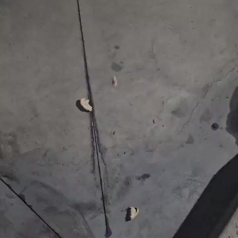 A light-colored cat with dark markings on its face and tail walks across a concrete surface. The cat is approaching and eating small pieces of bread that are scattered on the ground. The concrete surface has several dark lines and cracks visible, and there are some dark stains and wet patches. The lighting suggests it is nighttime or a dimly lit indoor space. The cat moves from the top left of the frame towards the bottom right, sniffing and eating the bread as it goes.