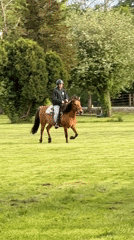 Late night horseback riding observed in Vancouver