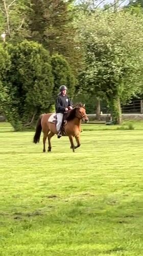 Late night horseback riding observed in Vancouver