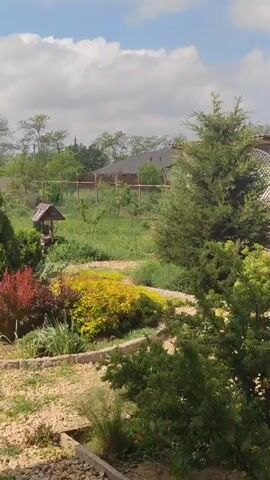 The video shows a landscape view of a garden on a sunny day. In the foreground, there are various plants in different colors, including red, yellow, and green. A small, decorative wooden well is also visible, along with a path made of light-colored stones. The background includes a grassy area with a fence and some trees. A building with a dark roof can be seen behind the trees. The sky is blue with some white clouds.