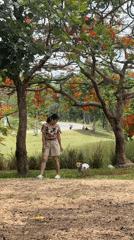 Woman walks dressed dog near lake in Thai park