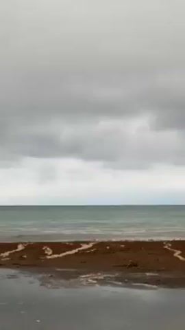 The video pans across a beach on a cloudy day, revealing a stilt house structure in the water. The beach is covered with seaweed. The sea is calm with small waves. The sky is overcast. The building is decorated with lights. A mountain or hill can be seen in the background.