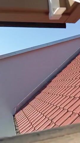 The video captures a view from a window or balcony overlooking a residential area. In the foreground, a weathered wooden beam or ledge is visible, with some rust stains along its edge. Below this, a green tree with lush foliage stands prominently on the left side of the frame. Beyond the tree, several buildings are visible. On the left, a wooden structure with a dark roof is partially obscured by the tree. To the right of this, a red brick building is visible with a light-colored building in front of it, featuring a traditional half-timbered facade. This building has a red-tiled roof with dormer windows and a chimney. Several dark-colored trash bins are lined up near the side of the building. In the background, more buildings and parked cars can be seen. The sky above is clear and blue, suggesting a sunny day. A small umbrella with a colorful pattern and a German flag are visible on a balcony or patio area to the right. The camera appears to be stationary, offering a static view of the scene.