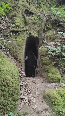 The video shows a dark, moss-covered tunnel in a hillside. The entrance is surrounded by lush greenery, including moss, ferns, and tree roots. The tunnel is dark, but a figure is visible standing inside. The ground in front of the entrance is covered in leaves and dirt. The overall scene is natural and somewhat mysterious.