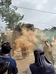 Traditional village performance with costumes and smoke in Ngadirejo