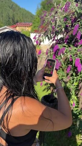 A medium shot shows the back of a person with long, dark hair who is holding a smartphone and taking a picture of a bush with purple flowers. The person is wearing a black tank top and a white watch on their left wrist. The bush is in full bloom and has many clusters of purple flowers. In the background, there are buildings and a green hillside. The sun is shining brightly, casting shadows on the ground. The phone screen displays a picture of a person wearing a colorful outfit.