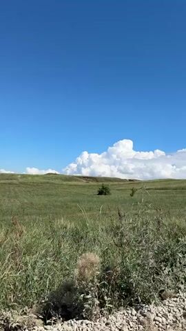 This video shows a view from a moving vehicle on a sunny day. The camera is angled towards a grassy hillside under a bright blue sky with large, fluffy white clouds. Tall grass and some lighter-colored weeds are in the foreground, with a gravelly road or path visible on the right. The car appears to be driving on this gravel surface. There are no people visible in the shot. The environment is rural and appears to be a natural landscape.
