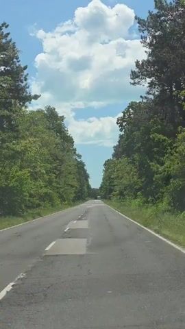 The video shows a straight, tree-lined road stretching into the distance under a bright blue sky with fluffy white clouds. The road is asphalt with some patches of repaired sections. White lines mark the lane divisions. Green trees line both sides of the road, creating a tunnel-like effect. The camera appears to be mounted inside a vehicle moving forward along the road. No other vehicles or people are visible in the video.