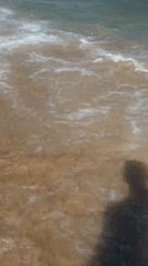 Sunny beach day in Sozopol, Bulgaria