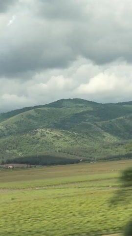 The video shows a landscape view from a moving vehicle. A line of green hills dominates the background under an overcast sky. In the foreground, there are rows of what appear to be cultivated plants, possibly crops or vineyards. The movement of the camera suggests the view is from a moving car or train.