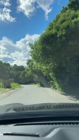 The video shows a view from inside a car driving on a paved road. The road is bordered by lush green trees on both sides and a clear blue sky with fluffy white clouds is visible above. The car is moving forward and the scenery is passing by.