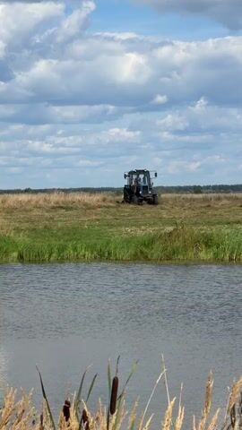 A blue tractor is shown in a field of grass and hay, with a body of water in the foreground. The tractor appears to be stationary and is facing the viewer. The sky is cloudy. Reeds and tall grass are visible in the foreground, obscuring the bottom portion of the water.