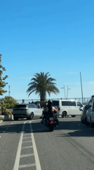 Motorcyclist spotted riding through Sirius, Russia on sunny afternoon