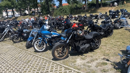 Harley-Davidson rally fills a Dresden field with custom bikes