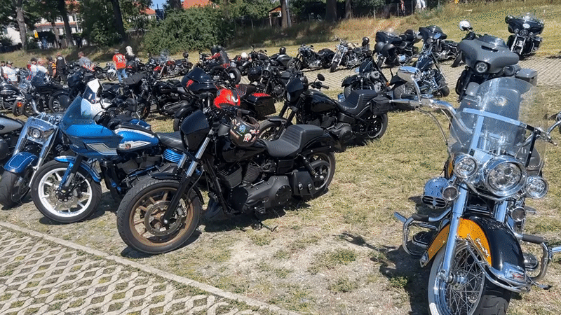 Harley-Davidson rally fills a Dresden field with custom bikes