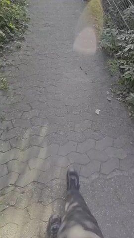 Here is a description of the video:

The video shows a first-person view of someone walking along a narrow, paved path. The path is surrounded by greenery on both sides, including bushes and trees. A wire fence lines one side of the path. The sun is shining brightly, creating a glare in the camera lens. In the background, a building is partially visible. The only visible part of the person walking is their shoes and the bottom of their pants.