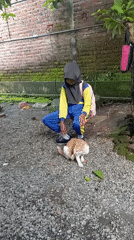 Student and cat share quiet moments in Indonesian village