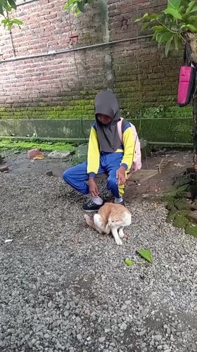 Student and cat share quiet moments in Indonesian village