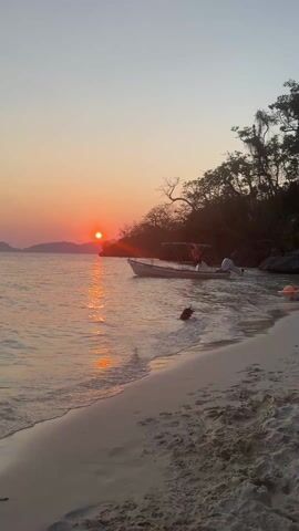 A medium shot captures a scenic sunset beach view. A brown and black dog wearing a collar swims in the water toward the shore. The water gently laps the sandy beach. A boat floats on the water’s surface and is attached to the shore with a rope. The sun is setting on the horizon. Silhouette trees are to the right. The sun’s reflection is on the water’s surface. The sky is a mix of orange and purple colors. The lighting of the scene is natural.