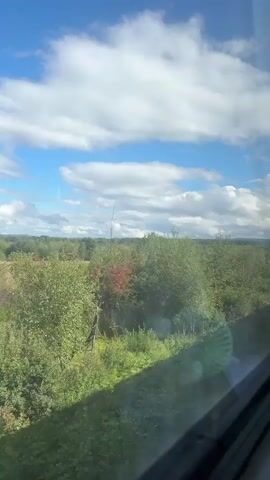 The video shows a view from a window, likely from a moving vehicle, looking out at a landscape. The landscape is dominated by lush green trees and vegetation, with some patches of taller trees visible in the distance. The sky is a vibrant blue, dotted with fluffy white clouds. The light suggests it is daytime, likely late morning or afternoon, with the sun shining. The lower portion of the frame shows a reflection on the window, possibly from the interior of the vehicle. There are no people or discernible objects within the immediate landscape that stand out. The overall impression is one of a natural, rural setting seen during a journey.