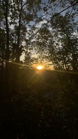 This is a vertical video of a sunset viewed through trees. The sun is partially visible, casting golden rays through the leaves and branches. The foreground is filled with dense green foliage, creating a silhouette effect. The sky is a mix of blue and white clouds. The overall impression is one of a natural, serene landscape.