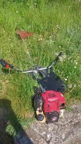 The video shows a red gas-powered weed whacker resting on a stone surface next to tall grass with white dandelions. The weed whacker is positioned with the engine facing the viewer. The camera pans out and up to show the grassy area surrounding the weed whacker. The grass is interspersed with more dandelions and some metal posts that are part of a structure. Trees and a house can be seen in the background. The sky is blue.