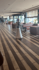 Humanoid robot spotted in Bulgarian hotel lobby