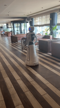 Humanoid robot spotted in Bulgarian hotel lobby